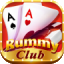 rummy union icon