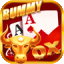 teen patti apk icon
